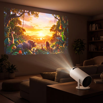 Portable Projector